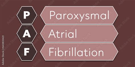 paf medical abbreviation|Paroxysmal Atrial Fibrillation Explained .